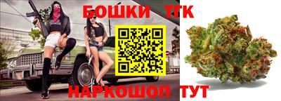 молекула духа Кингисепп