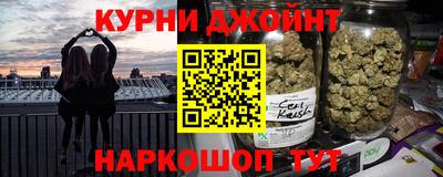 молекула духа Кингисепп