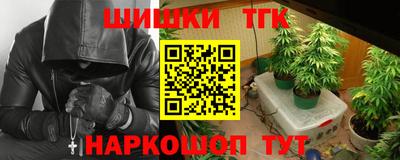 молекула духа Кингисепп
