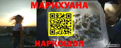 молекула духа Кингисепп