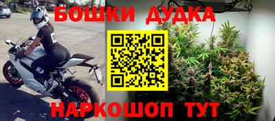 гидропоника Кимры