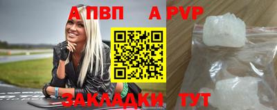 молекула духа Кингисепп