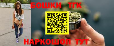 молекула духа Кингисепп