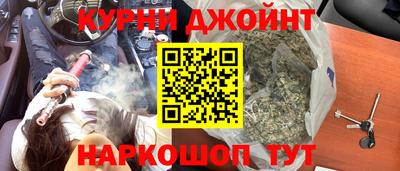 молекула духа Кингисепп