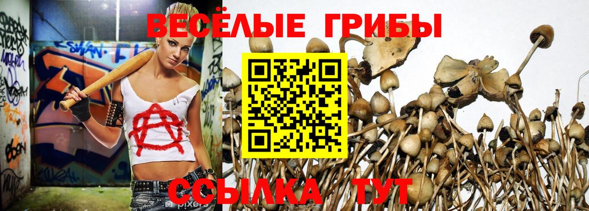 Псилоцибиновые грибы ЛСД Кузнецк