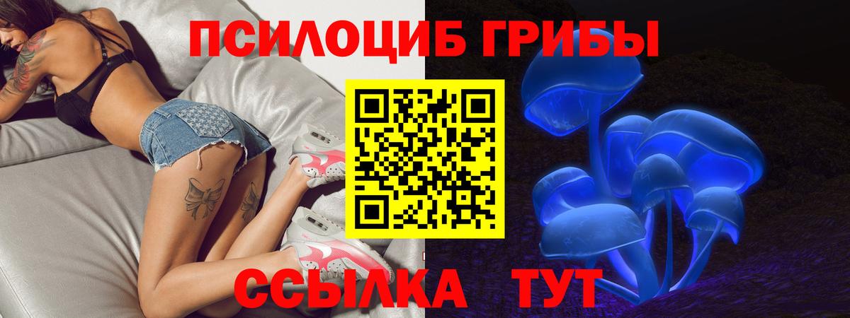Псилоцибиновые грибы мухоморы  Вход с VPN  Кузнецк 